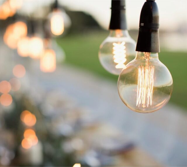 2025/01/Festoon-1.jpg