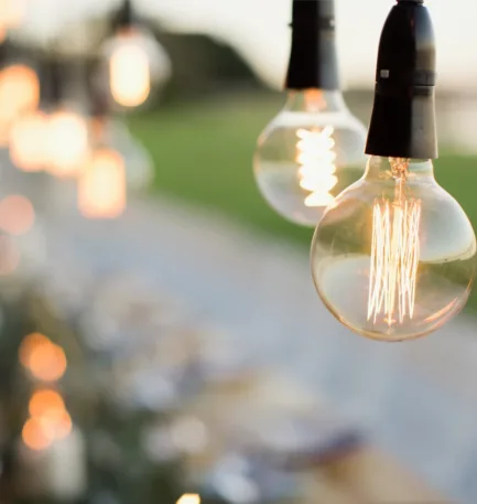2025/01/Festoon-1.webp